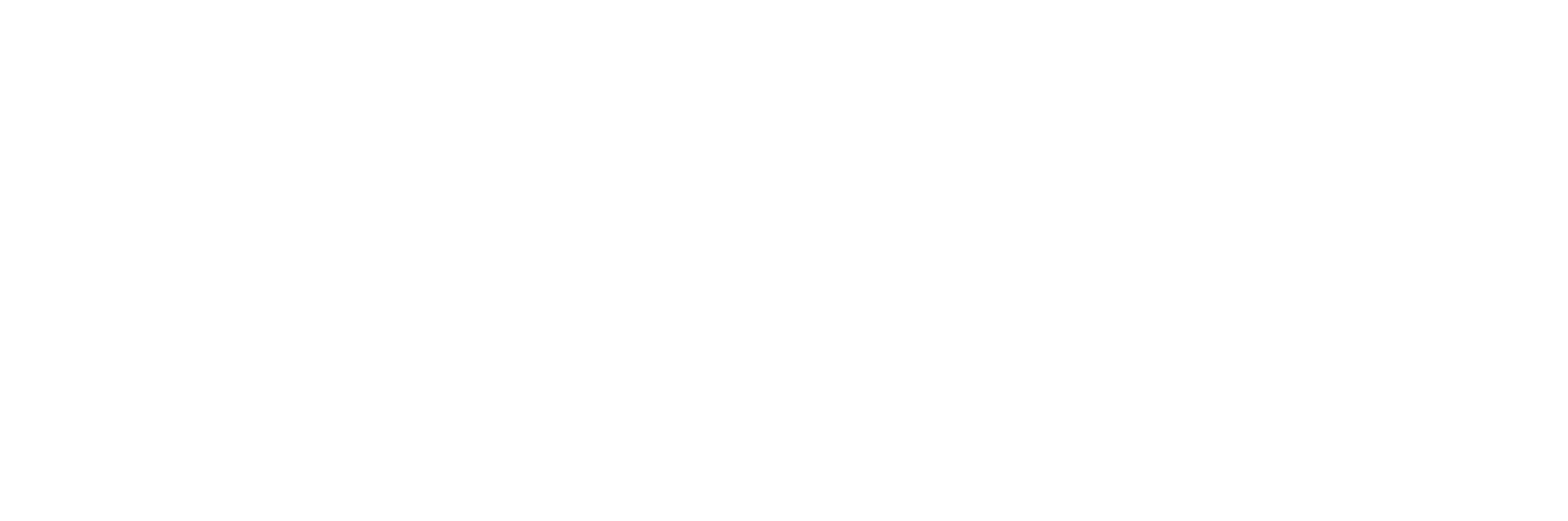 Stefanini Group